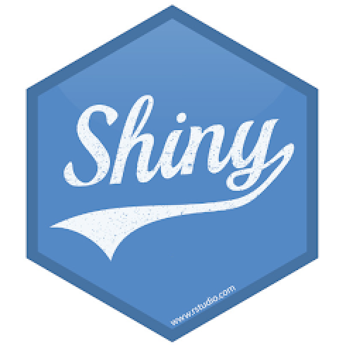 shiny logo